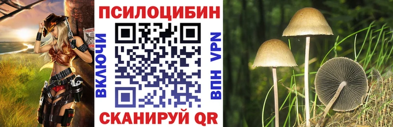 Псилоцибиновые грибы Cubensis  Купить  Чердынь 